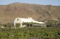 Sigalas Winery, Santorini